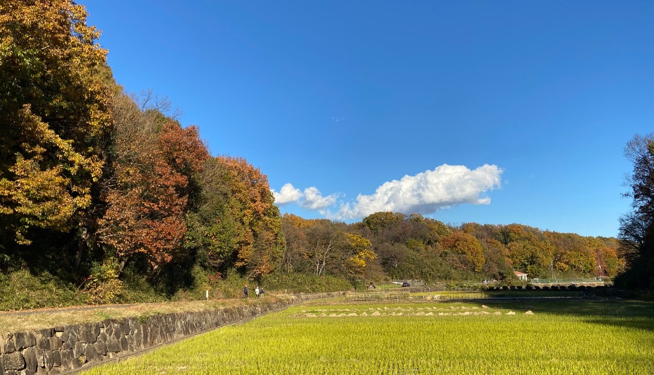 青葉台の自然環境