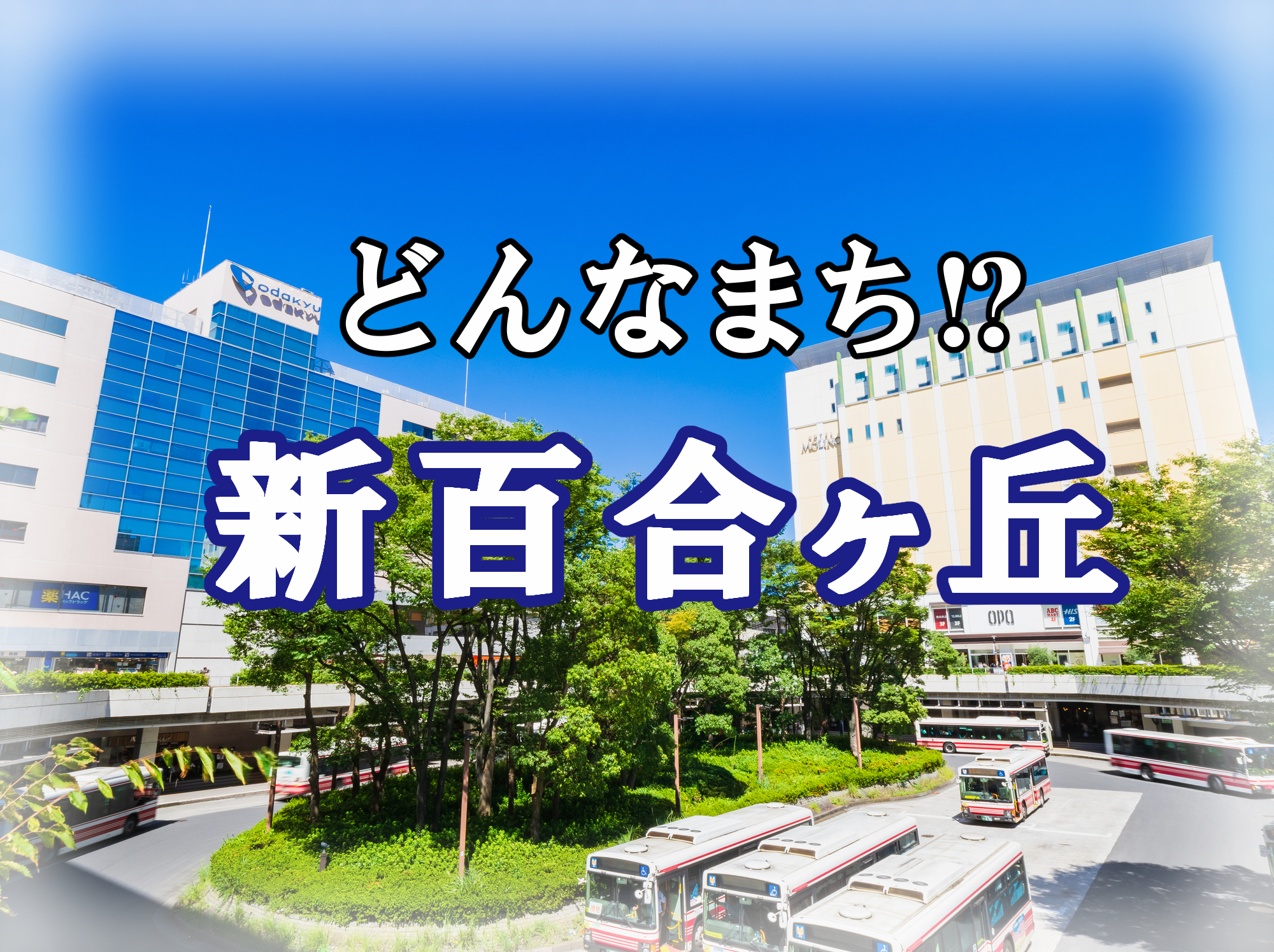 新百合ヶ丘エリア紹介♪