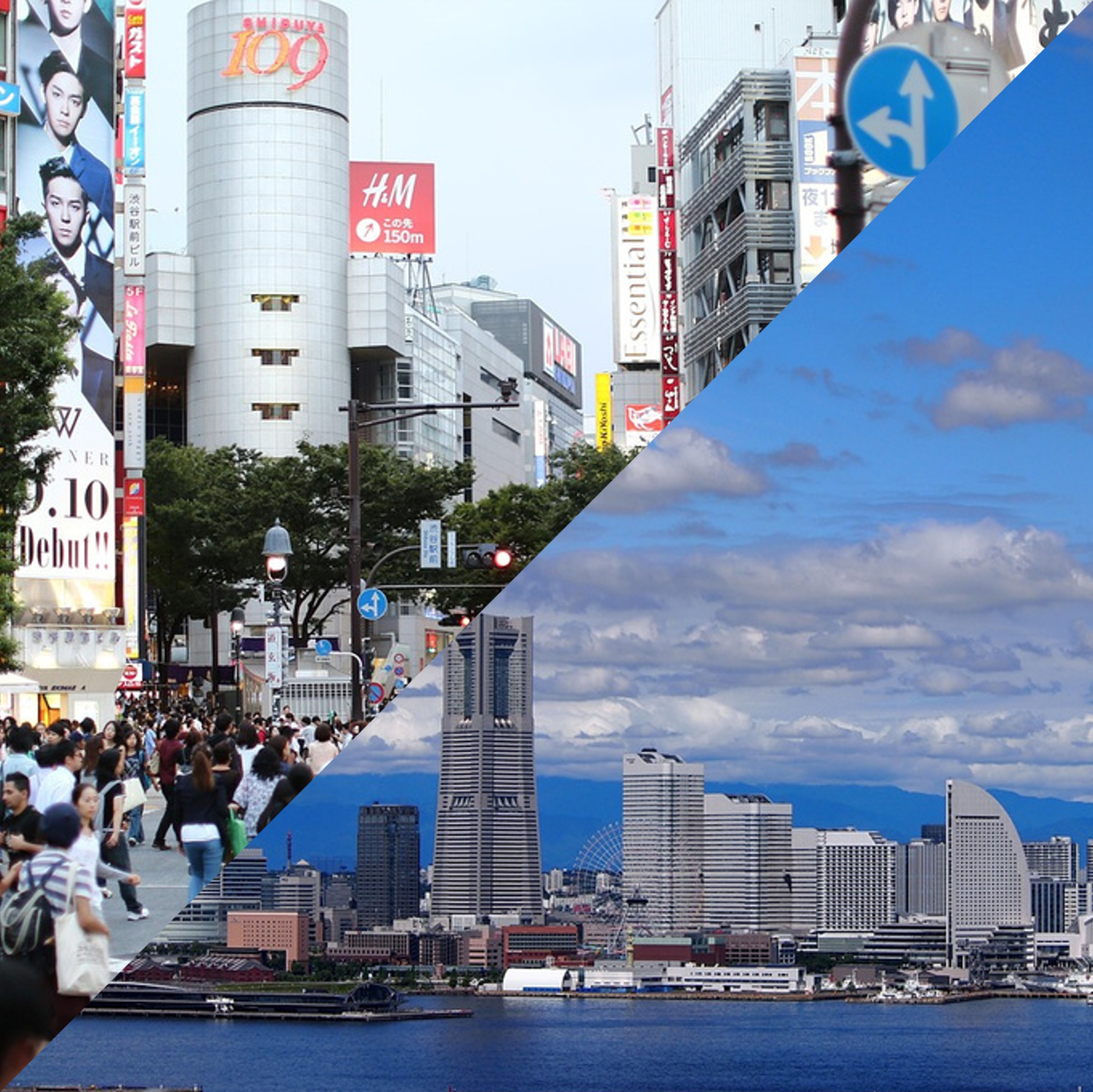 渋谷も！横浜も！アクセスの良さが自慢